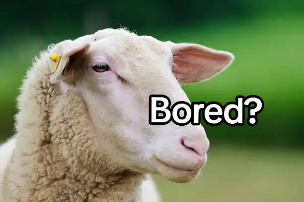 #fyp #christmas #song #holidays #india 