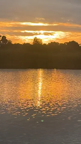sunset#вечір в золотих кольорах#ріка#природа#українськамузика 