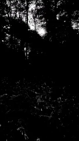 ادير العين يمنه ومره يسره.. #ترند #جيل_الطيبين #fyp 