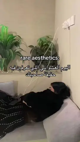 #explore  #اكسبلورexplore  #مالي_خلق_احط_هاشتاقات🧢  #fyp 