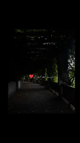 ماں نے بہت محبت دی 🥹#foryoupage #fypppppppppppppp #repost #viralvideos #kashafeditx 