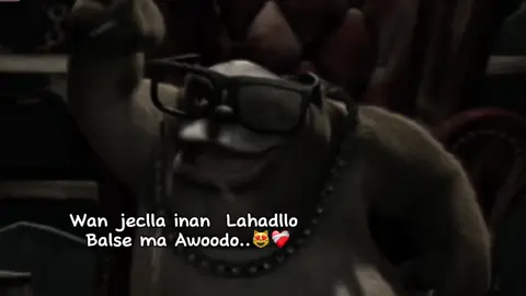 6.k maba rabo sacas laga billabo😂❤️‍🩹#viwosproblam😔 #soomalia🇸🇴 #soomaliland💚💭❤ #Toorez😮‍💨🌷 #fpy 