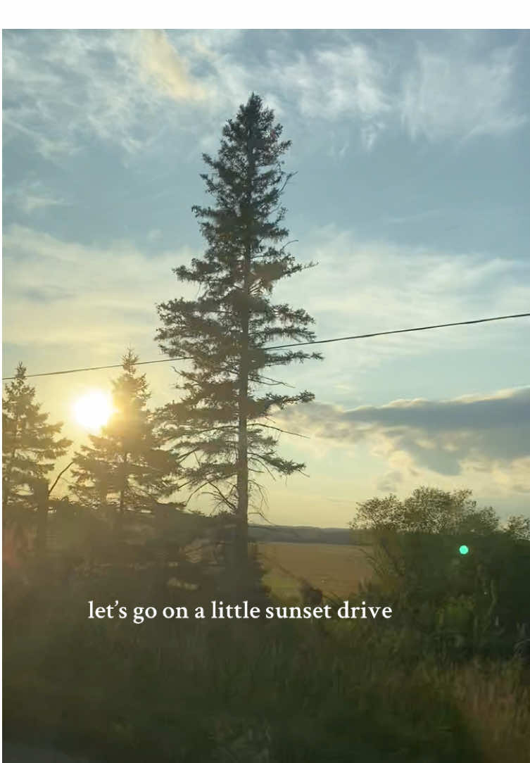 the little things are often the biggest. sunset drives with the best of friends and truck dinner picnics with fries from two places. only the best for the best. very grateful and lucky. @Sam.B.9 