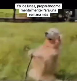 #paratiiiiiiiiiiiiiiiiiiiiiiiiiiiiiii #paratii #viral #lunes #trabajo 