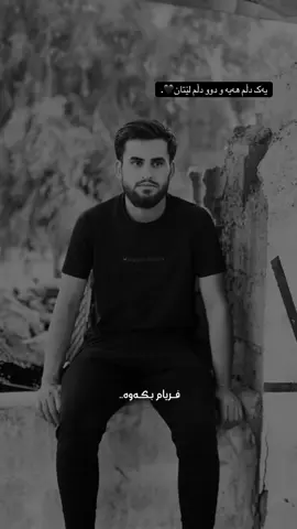 یەک دڵم هەیە و دوو دڵم لێتان🖤. #ranya #fyp #foryou #ayub 