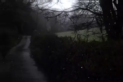 ﴿ الله لا إله إلا هو الحي القيوم........................ ﴾  #اية_الكرسي #القارئ #صلاح_بو_خاطر #صلوا_على_رسول_الله #تلاوة_خاشعة 