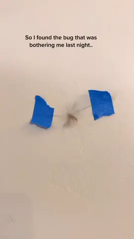 #fypシ                                                     To free him, you have to buy one of my products. 🥹🦟 ⚠️ Click the link in my profile and buy it on the website. 😜🌸🥰