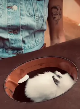 liberando vídeo fofo da ana no efeito dramático quente🤎#anaflavia #boiadeira #foryou #anacastelacantora #fyppppppppppppppppppppppp @Boiadeira 