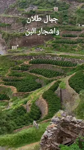 #CapCut #الانتشار #foryou #اكسبلورexplore 