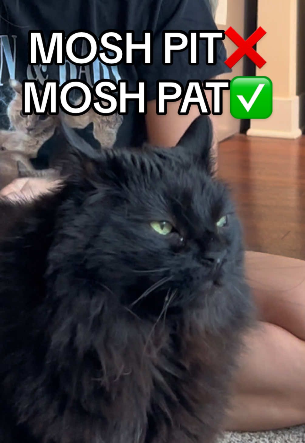 Slipknot? More like Slapknot🤘🏻😈#catsoftiktok #slipknot #funnycat #blackcat #metal 