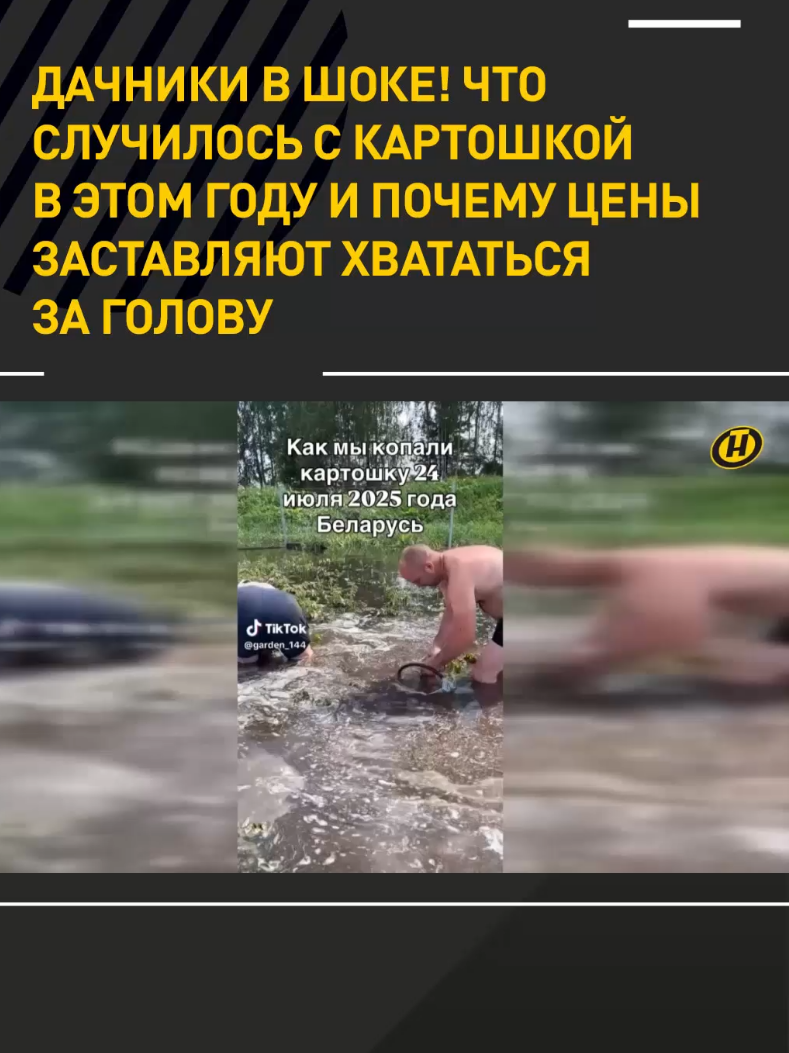 #беларусьсейчас #сельскоехозяйство #дачи #картошка #актуальное 