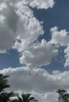 #محمد الحلفي بحث طيف الحزن #contact #🥺😔 #طيف الحزن دك بابي #🥺😔 اي والله دك بابي