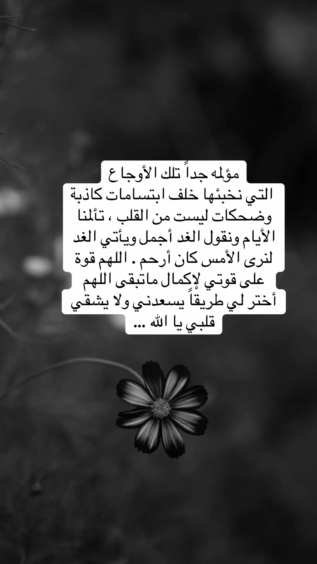 #مؤلمه جداً تلك الأوجاع التي نخبئها خلف ابتسامات كاذبة وضحكات ليست من القلب#viral #explore #fyp #foryou 