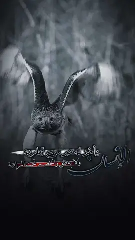 الإنسان يأخذ له عبر من تجاربه  #عيسى_الليث #زوامــــــل_من_العيارات_الثقيله @YEM 