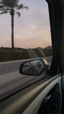 لو سنين عمري تضيع والزهور تنسى الربيع ..🌺                   #اكسبلورexplore #حركة_إكسبلور #حايلندا #fyp #خطوة_جمل 