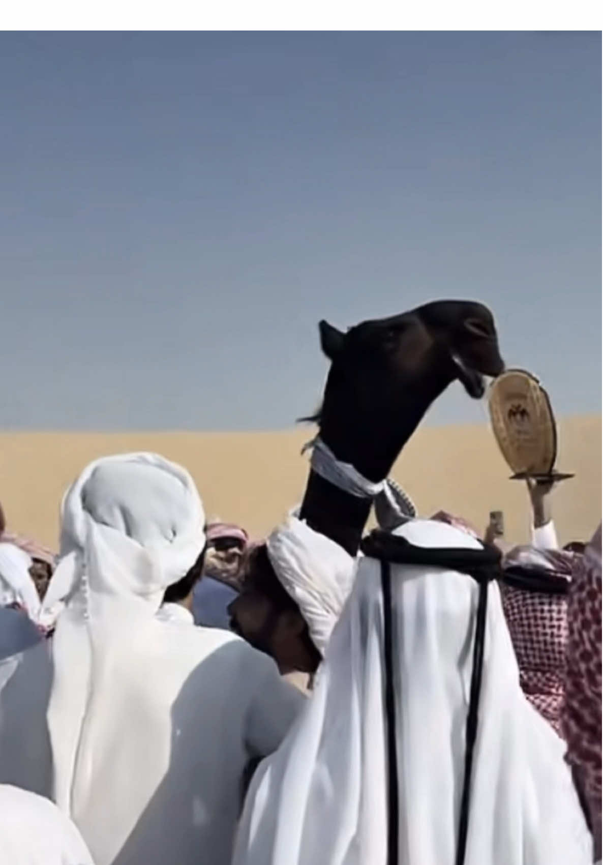 غبـينه آبن جميله 