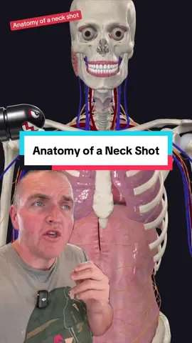 What happens when you get shot in the neck? As you can imaging, it’s not anything good. But it’s surprisingly more complex than you may know. #EduTok #learnontktok #anatomy #medical #Science 