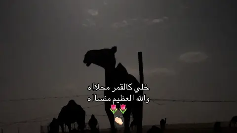 مابقى شي على 5000 همتكم👏🏻❤️.#fyp #foryou #اكسبلور #تيك_توك 