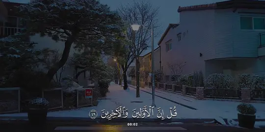 سورة #الواقعة | #عبدالله_القرافي 