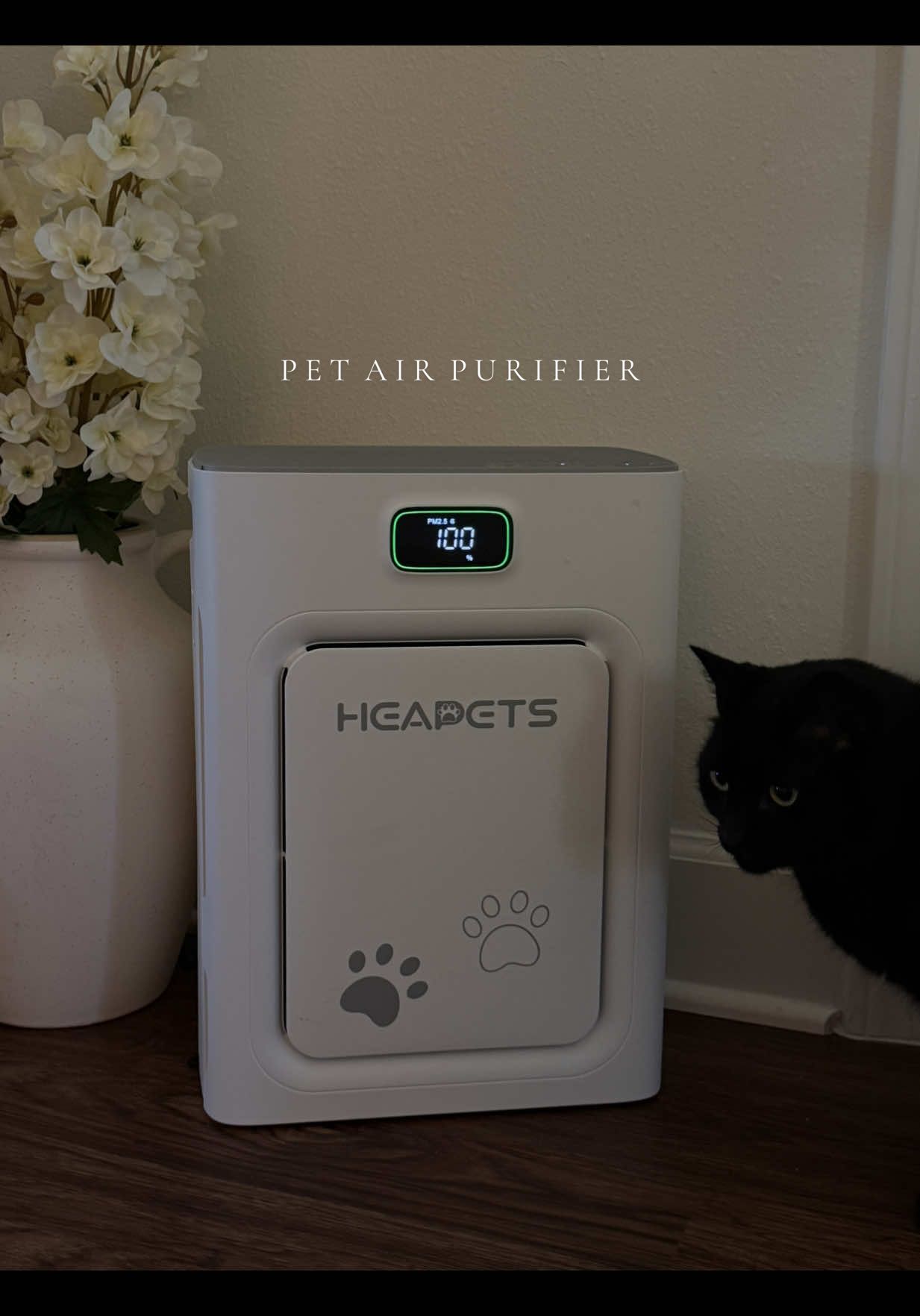 A game changer!! 🙌🏼 @Heapets Official #heapets #petairpurifier #airpurifier #CleanTok #cleanhouse 