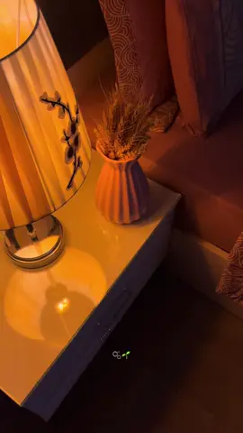 أنت الذهب وغيـرك فضة🌱🫧 #الشعب_الصيني_ماله_حل😂✌️ 