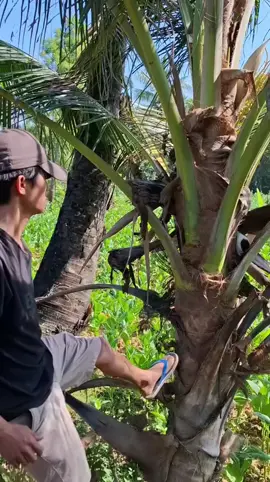 Facile #tik_tok #visibilité #fyp 