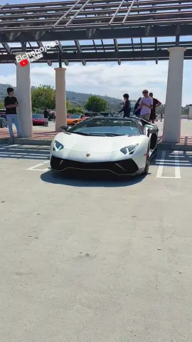 Lamborghini cold start                         #lamborghini #lambo #lamborghinihuracan #lamborghiniaventador #coldstart