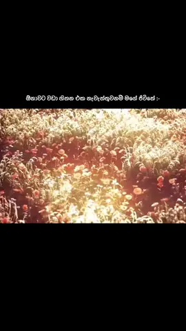 🥹! #foryou #fyp #trending #viral #anuhaz  