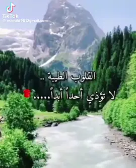 #🌹🤍🍁 