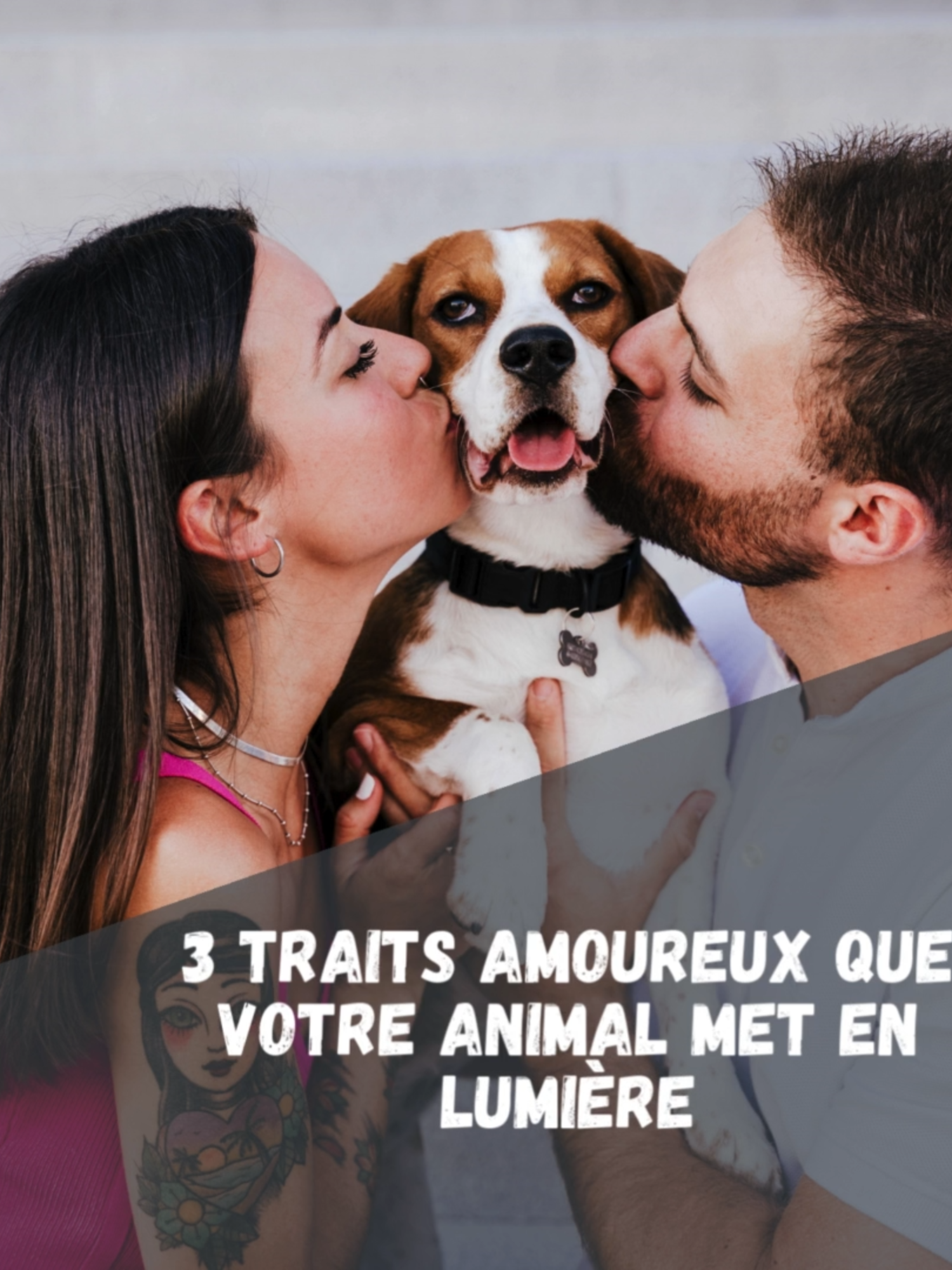 🐾 3 traits amoureux que ton animal met en lumière 🐾 Nos animaux ont tant à nous apprendre… 💛 Leur loyauté sans faille nous rappelle qu’un amour sincère se construit dans la fidélité. 🌿 Leur indépendance nous montre qu’aimer, c’est aussi respecter l’espace de l’autre. ⏳ Leur patience nous enseigne que les plus belles relations prennent du temps à éclore. Et toi, lequel de ces traits te ressemble le plus en amour ? 💘 Dis-le-nous en commentaire 🐶🐱 #amour #relation #confiance #animaux #couplegoals #valeurs #amourauthentique #love #bienveillance #relations #top5rencontres #Collioure #Rochefort #Tours #Marseille