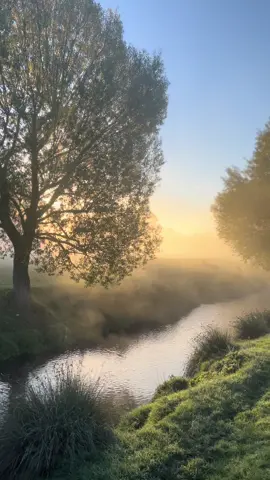 Nature #nature #naturevideos #sunrise #richmondpark #londontiktok 