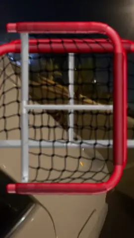 #الشعب_الصيني_ماله_حل😂😂 #fyp  ههههههههههههههههههههههههههههههههههههههههههههههههههههههههههه 