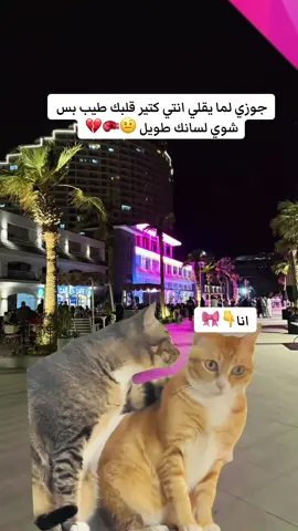 #MemeCut#رنيم🌸 #ترند #ترندات #بحبكم❤️ 😂 