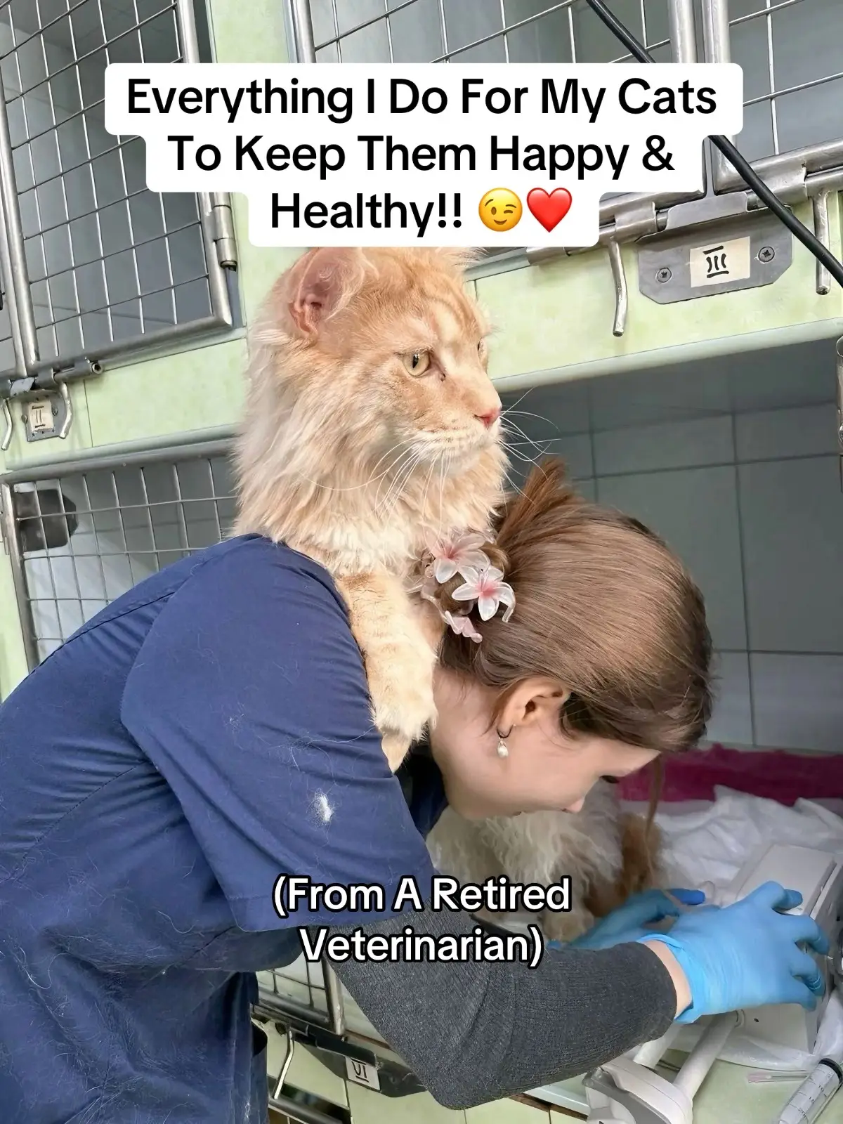 #petsafety #petwellness #cathealth #catmom #veterinarian 