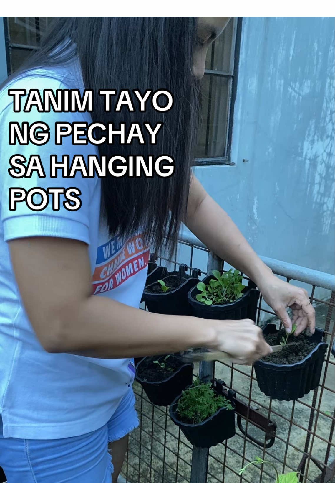 Home gardening🥰🥬 Planting pechay.