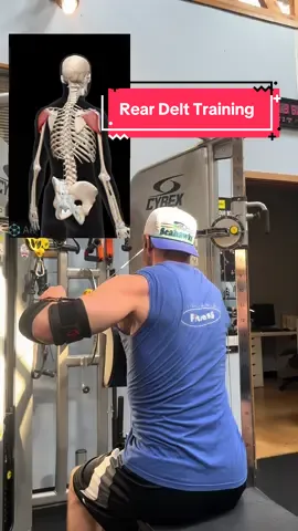Cable rear delt fly. Pretty self explanatory. Ask if you got questions! #gym #hypertrophy #sbl #GymTok #reardelts @Keenanrmalloy 