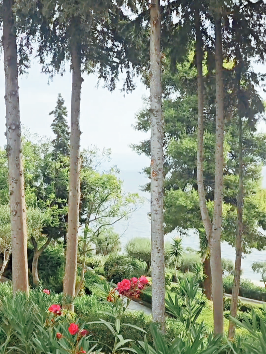 📍 Aeolos Beach Resort, Corfu 🇬🇷 This place did not disappoint 🙌 😍 #corfu #aeolosbeachresort #holiday #greece #fyp 