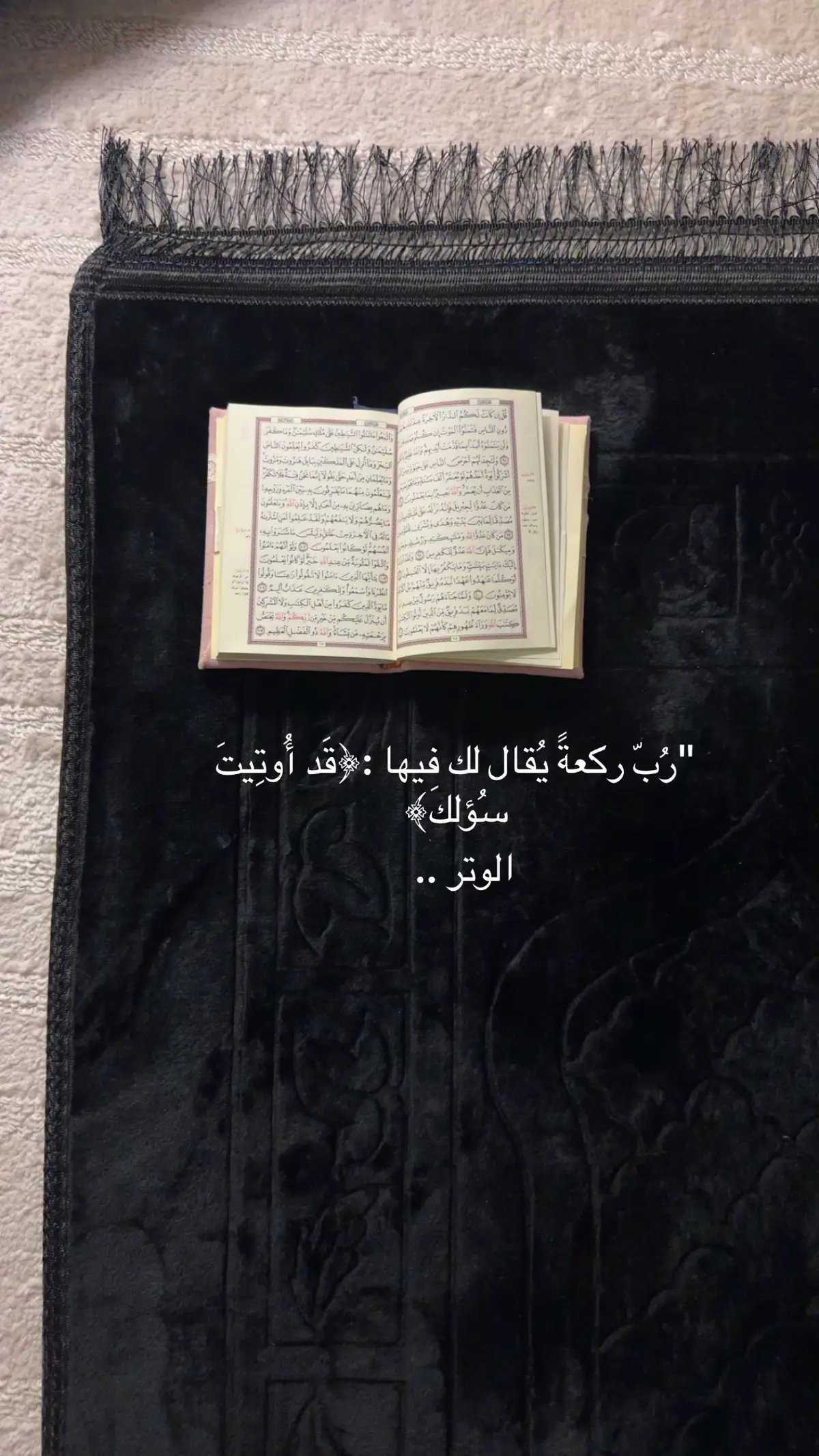 يارب .. #الوتر #قران #تصويري #اكسبلورexplore 