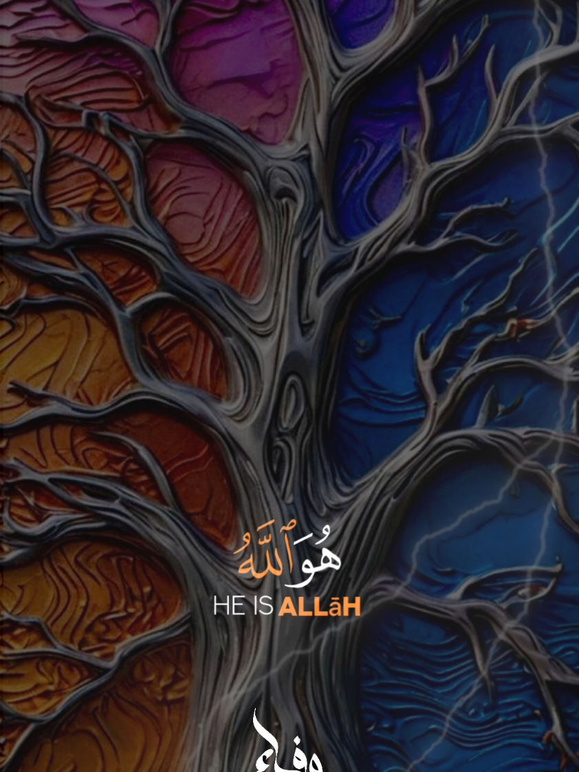 #القرآن_الكريم #ارح_سمعك_بالقران #quran_alkarim #quran #wafaa_moharram 