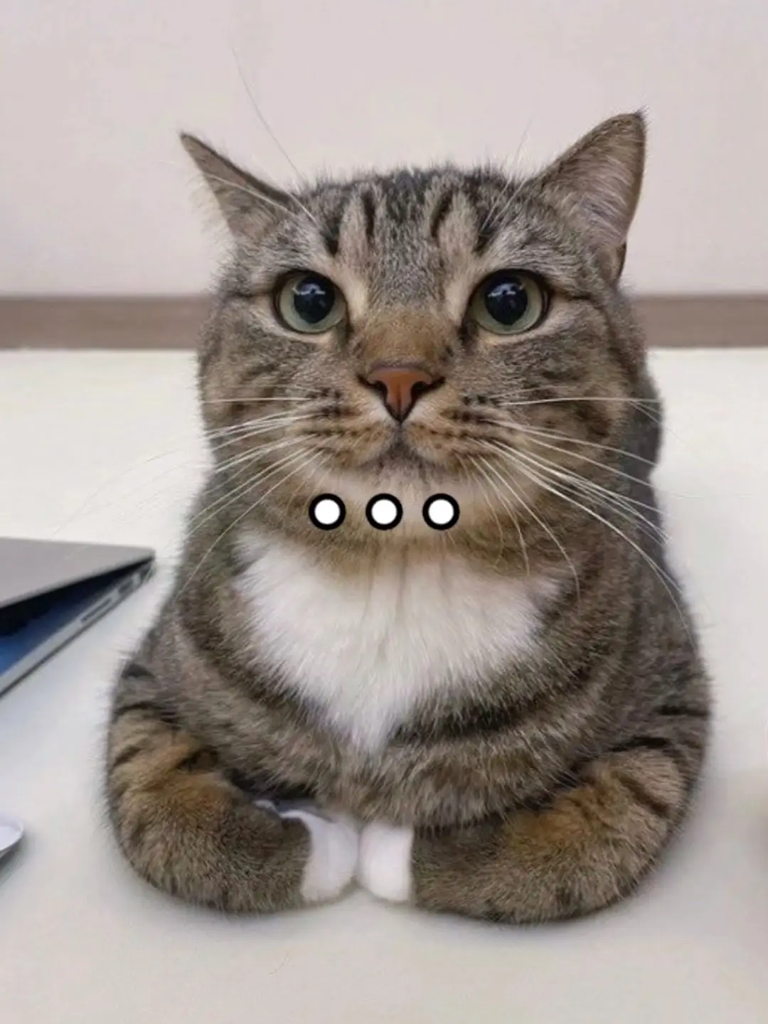 𝙉𝙚𝙭𝙩⇝Repost😍😍 #cos#cosplaysplayer #cosplayers #xuhuong #xuhuongtiktok #vrial #xuhuongtiktok2024 #xhuonggggg #xhtiktok #xh #xuhuong #slay #abcxyz #fyp #douyin #cosplay#cosplayer #cosplayersofinstagram