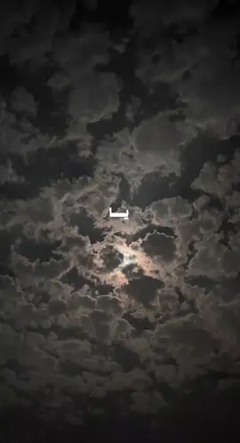 قال النبي ﷺ: «مَن دلَّ على خيرٍ فله مثلُ أجرِ فاعلِه #4u #قران #اجر_لي_ولكم_ولوالدينا_وللمسلمين #fyp 