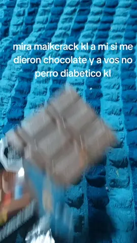 #perrodiabetico #chocolate #mikecrack 