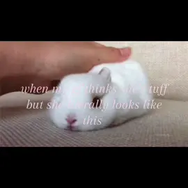 #ilovemygf #giftok #bunny #fyp #viral