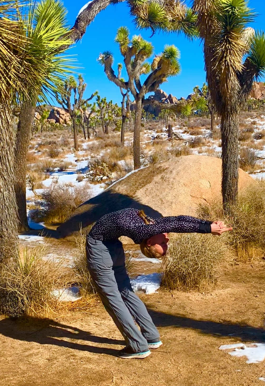 JOSHUA TREE | this a video from a trip i did to joshua tree national park last winter on an incredibly rare snow day in the desert. absolutely magical ❄️. im so excited for fall and winter coming up. getting to hang out and see the first snow of the season has a magic nostalgia every year. hope you all have a great sunday. 💫 #yogaflow #joshuatree #yogaposesdaily #fyp #aesthetic 