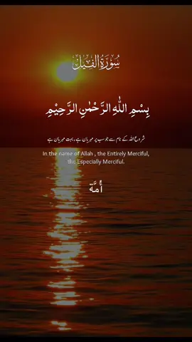 105.Al-Fīl❤️ #bismillah #quran_alkarim #surah #islamicreminder #islamic_video #muslim #makedua #freepalestine🇵🇸❤️ #CapCut 