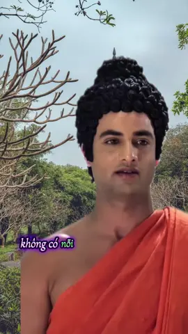 không có nỗi đau nào là vĩnh viễn không có khổ sở nào là mãi mãi#gocnhincuocsong #loiphayday #phatdaydieuhay #phatgiao #loihayydep 