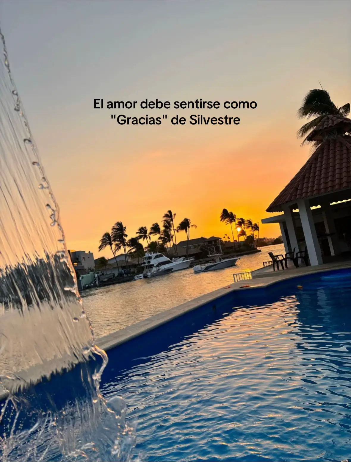#silvestredangond #gracias #vallenatos #fyp #cancionesparadedicar 