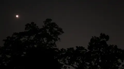 Fine Line #songs #lyrics #fineline #harrystyles #fypシ 