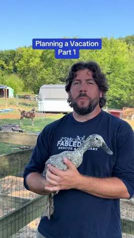 Barn Boots to Mouse Ears Part- Part 1 - Six years, zero breaks, hundreds of animals rescued…and we’re taking our first vacation! Come behind the scenes as we share all of the details that go into planning a Disney trip and prepping the farm. #barnbootstomouseears #disneymagic #fabledfarm 