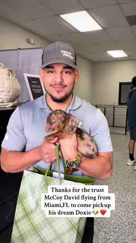 Trust the process. We have always been global ❤️ #fyp #minidachshund #puppy #DogTok 